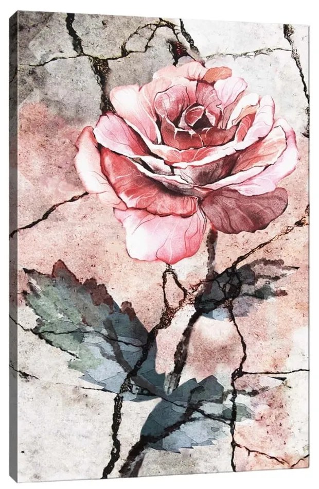 Obraz na płótnie Tablo Center Rose, 40x60 cm