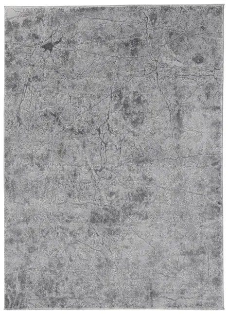 Dywan SIGGI GREY 160x220 szary ELTAP