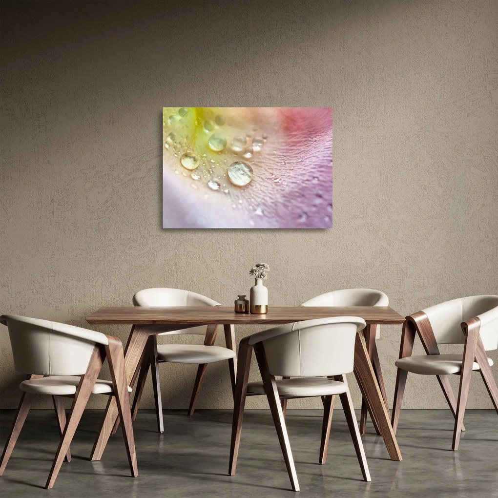 Obraz na szkle - Krople rosy (70x50 cm)