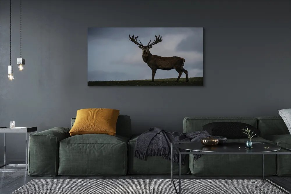 Obraz canvas na ścianę Nocne Spotkanie z Jeleniem