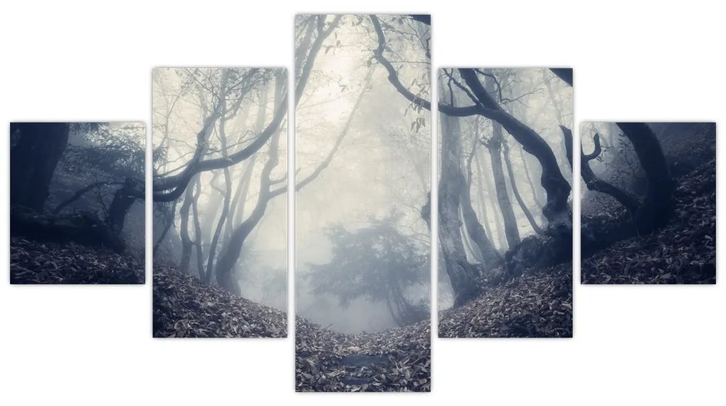 Obraz- Las we mgle (125x70 cm)