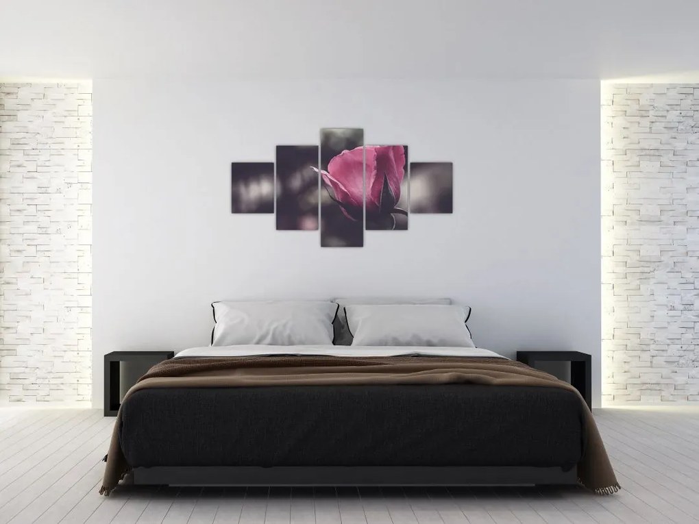 Obraz - Detal kwiatu róży (125x70 cm)