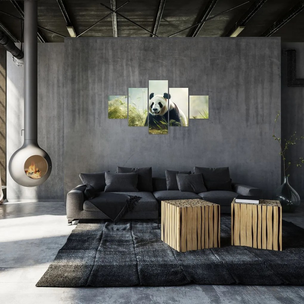 Obraz - Panda (125x70 cm)