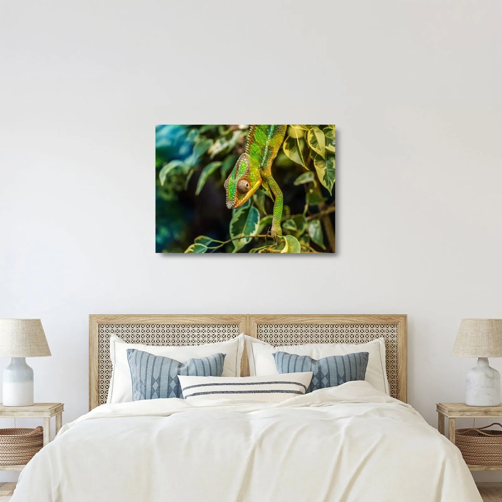 Obraz na szkle kameleona (70x50 cm)