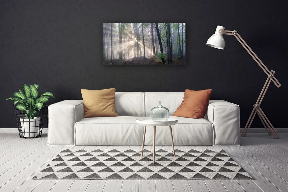 Obraz na płótnie Głusza Starego Lasu