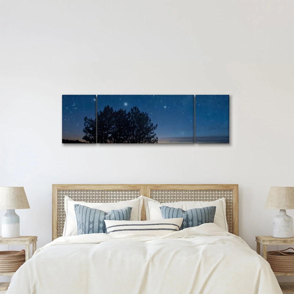 Obraz drzew w nocy (170x50 cm)