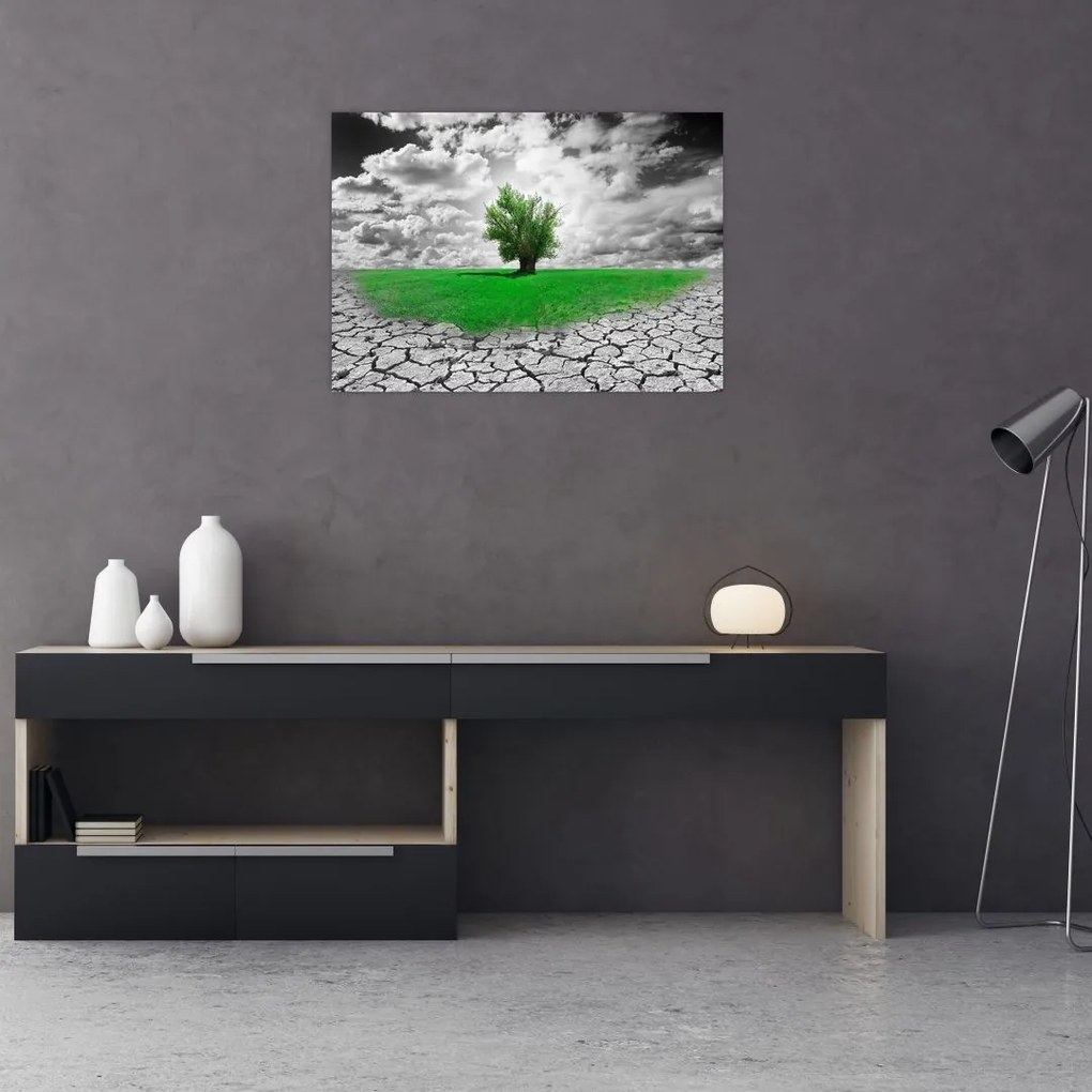 Obraz - Kawałek natury w mieście (70x50 cm)