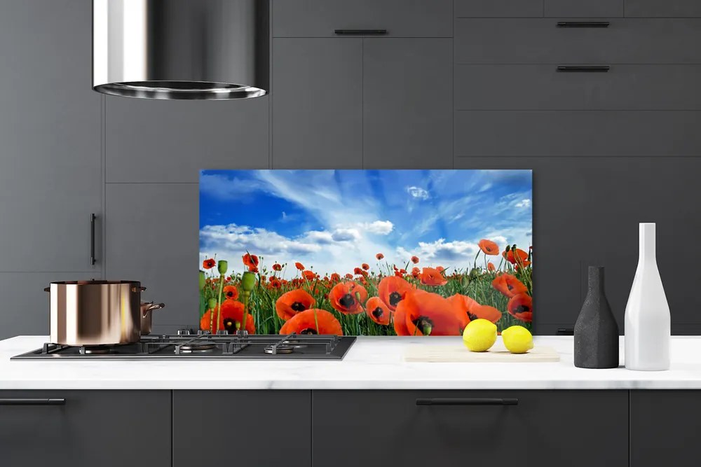 Panel Szklany Czerwone Maki w Blasku Słońca