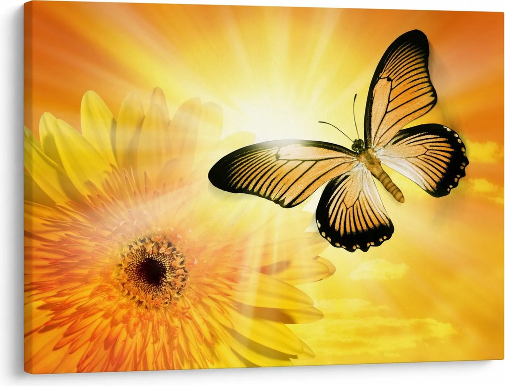 Obraz - Żółty motyl z kwiatkiem (70x50 cm)
