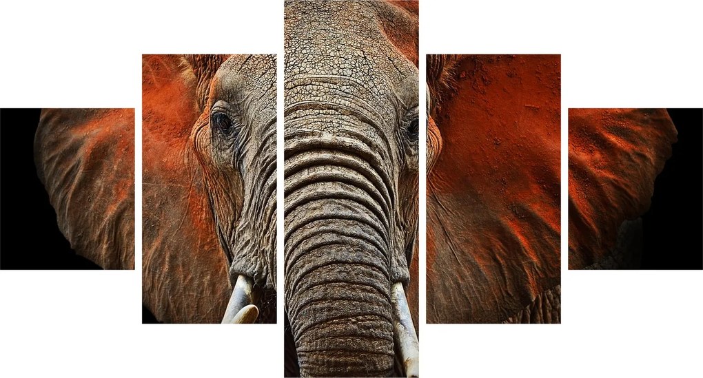 Obraz - Słonie z Tsavo (125x70 cm)