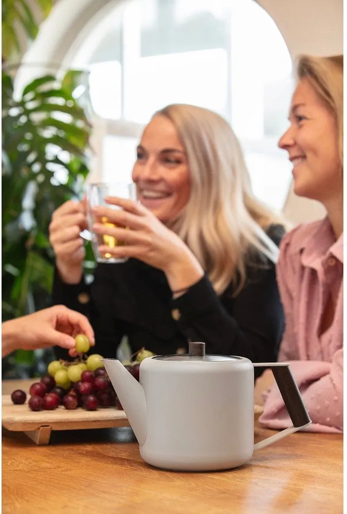 Beżowy dzbanek do herbaty ze stali nierdzewnej 1,1 l Duet Boston – Bredemeijer