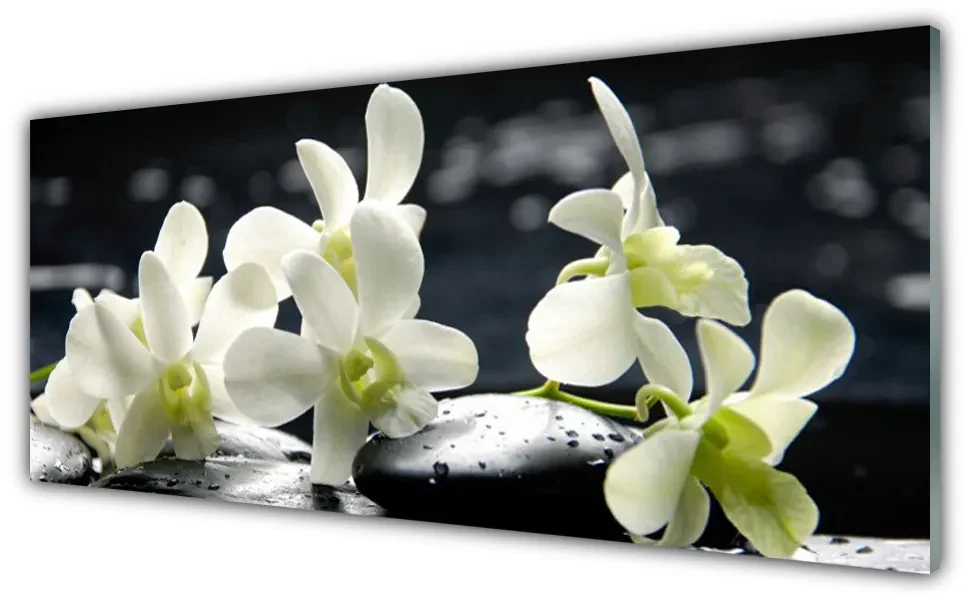 Obraz Szklany Kwiat Orchidea Roślina