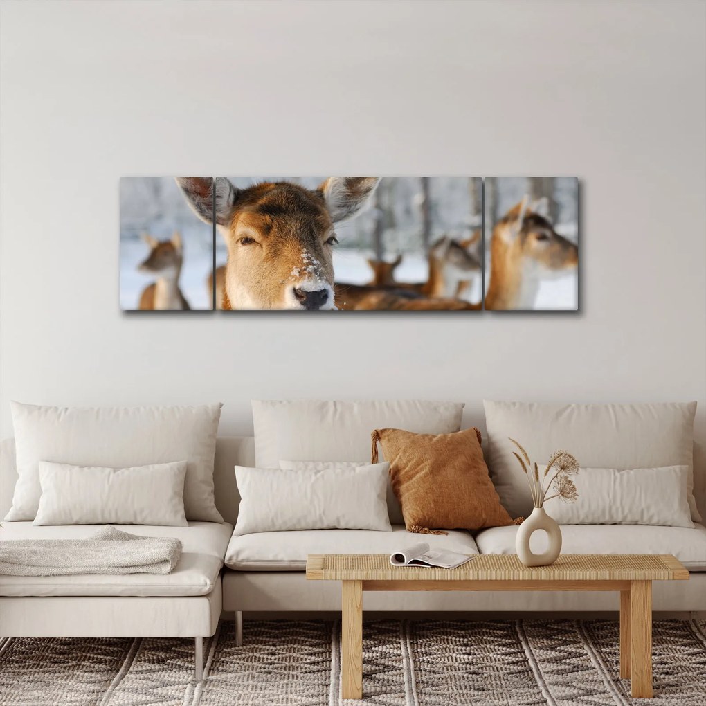Obraz - Jelonki (170x50 cm)