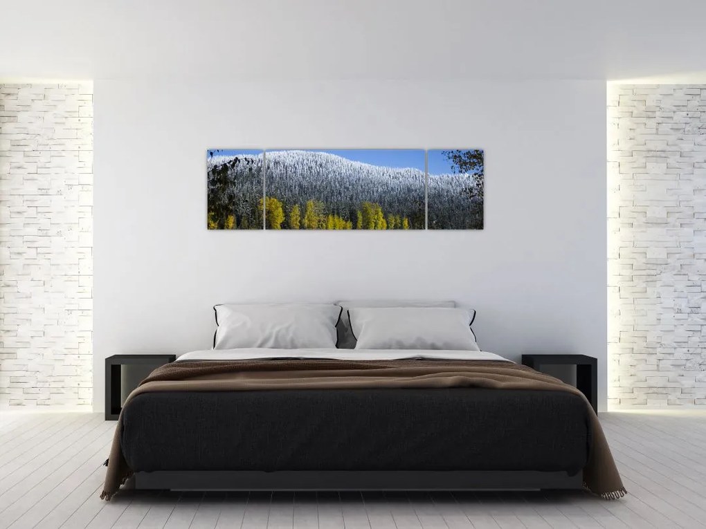 Obraz - ośnieżone góry zimą (170x50 cm)