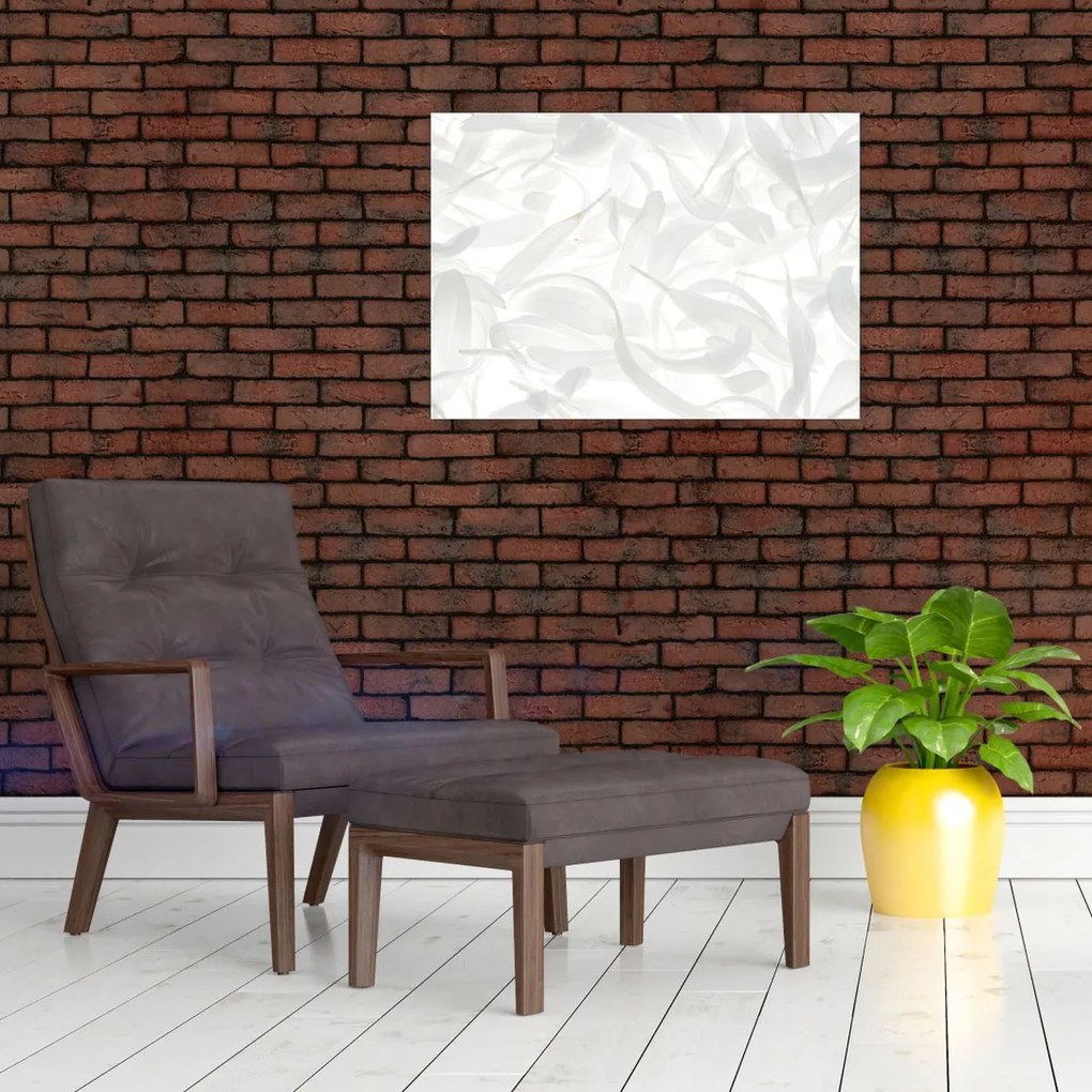 Obraz - Płatki (70x50 cm)