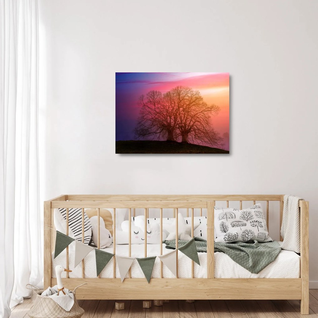 Obraz na szkle - drzewa we mgle (70x50 cm)