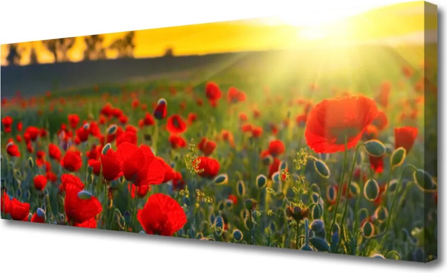 Obraz canvas Pole Czerwonych Maków
