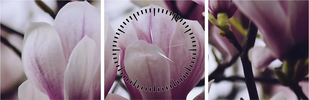 Obraz - Magnolia (z zegarem) (90x30 cm)