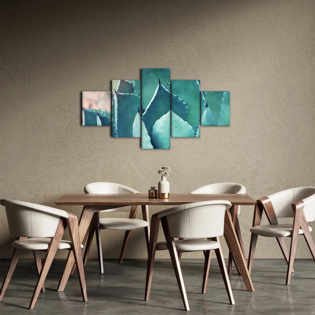 Obraz - Sukulent (125x70 cm)