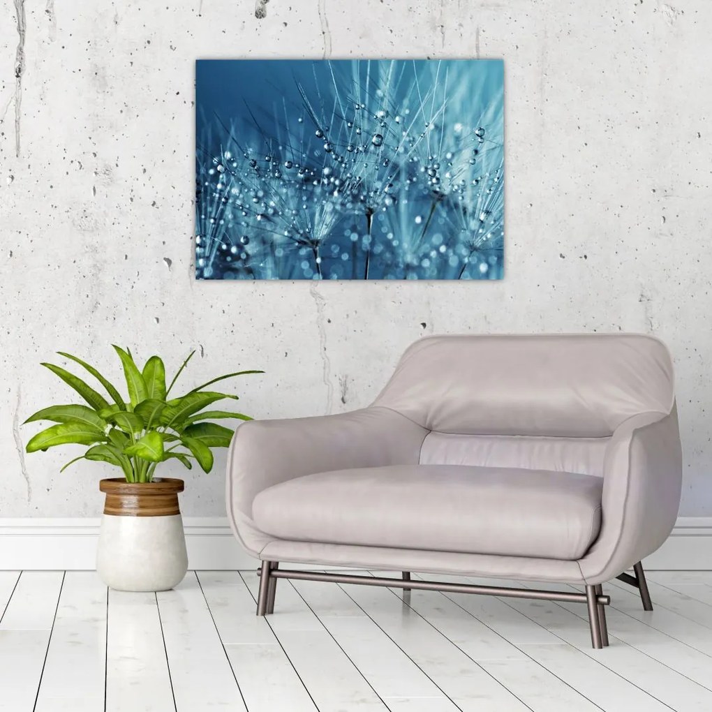 Obraz na szkle - Krople rosy (70x50 cm)