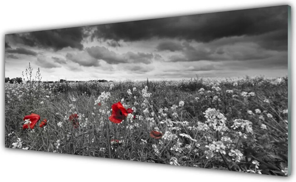 Panel Szklany Sielska Polana Kwiatowa