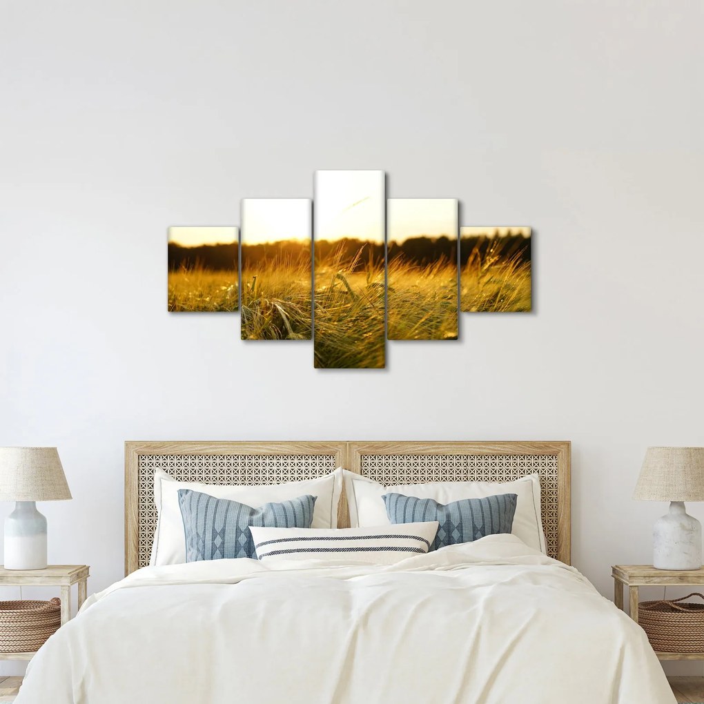 Obraz zroszonej trawy (125x70 cm)