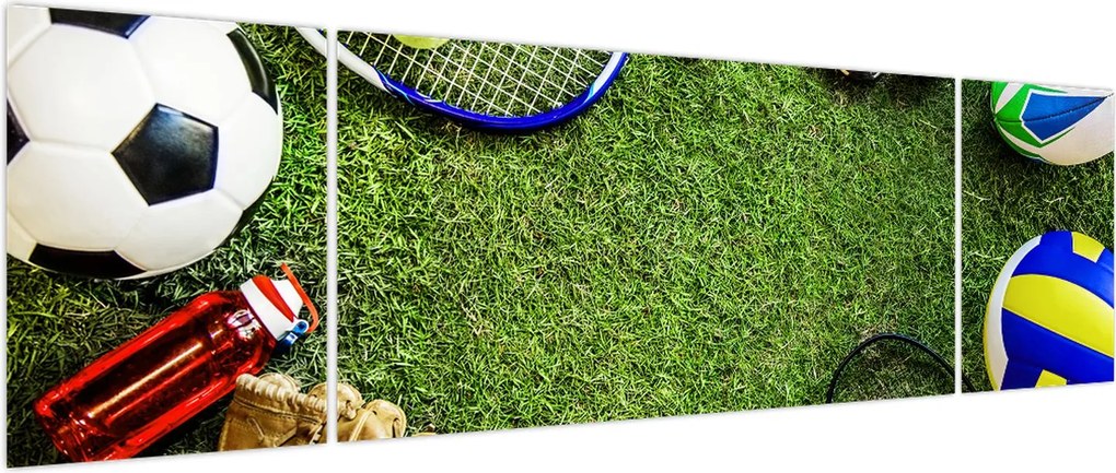 Obraz - Sport (170x50 cm)