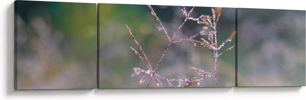 Obraz - Szczegół trawy (170x50 cm)