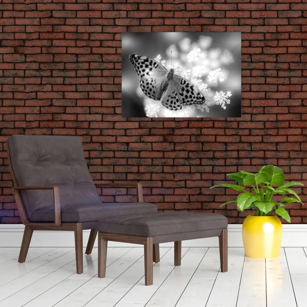 Obraz - Szczegół motyla zapylającego kwiat (70x50 cm)