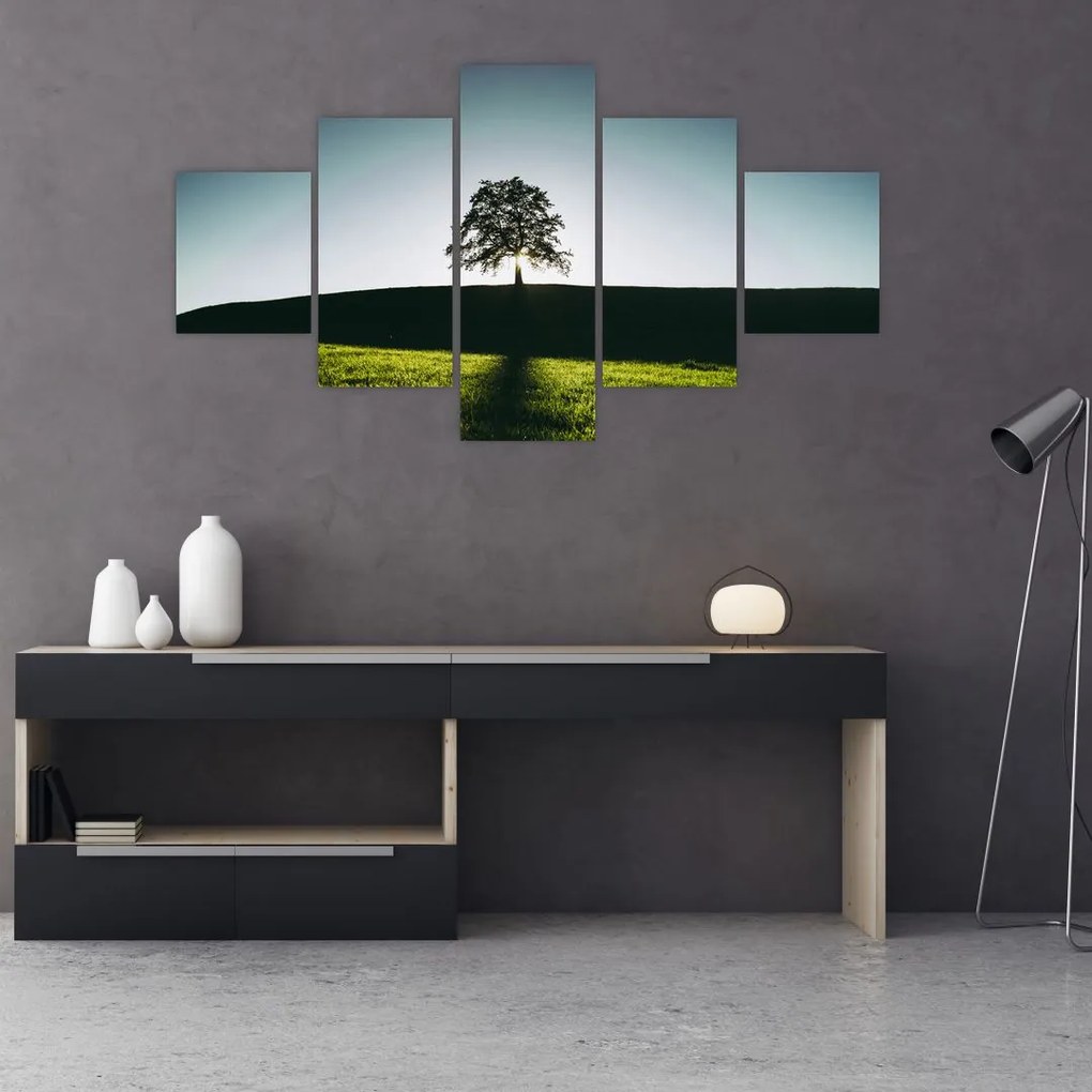 Obraz natury - drzewo (125x70 cm)