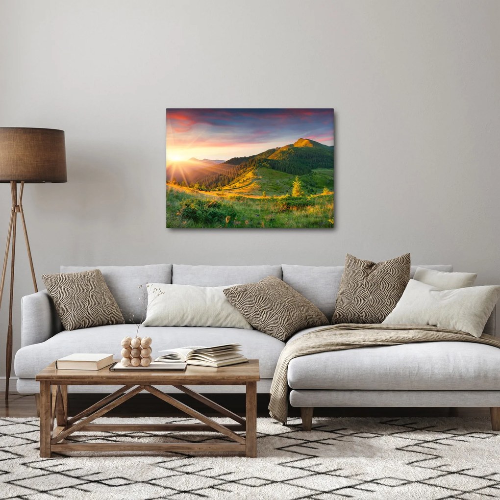Obraz - Letni krajobraz (70x50 cm)