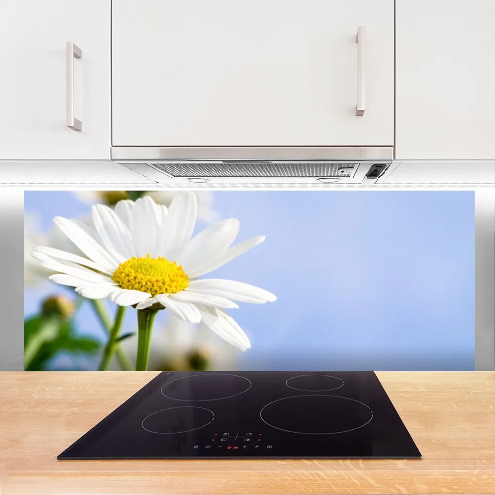 Panel nad blat kuchenny Urok Polnej Stokrotki