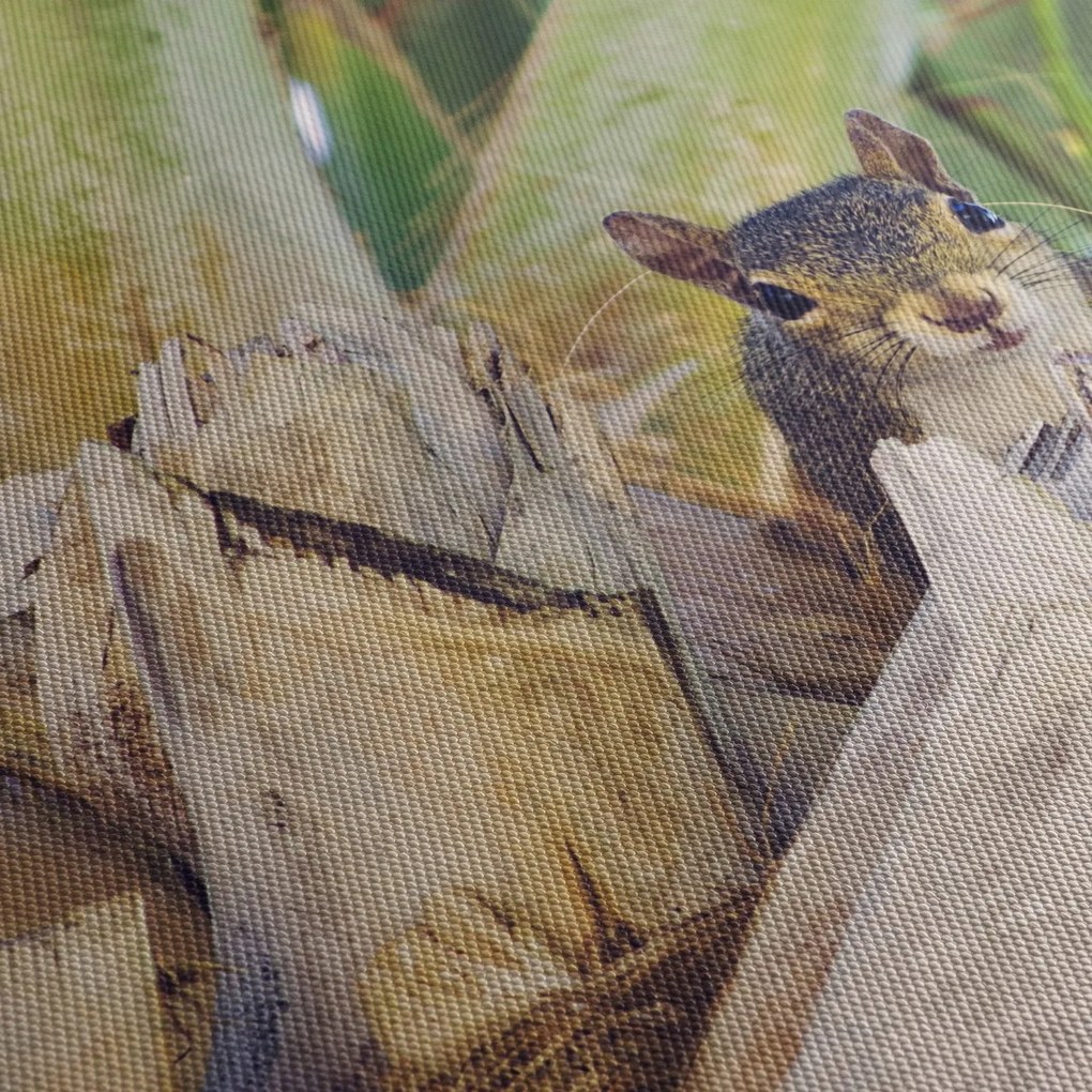 Obraz wiewiórki na drzewie (170x50 cm)