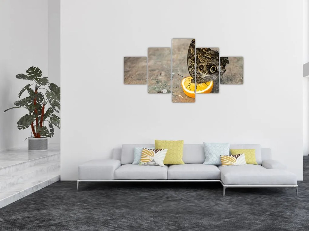 Obraz motyla (125x70 cm)