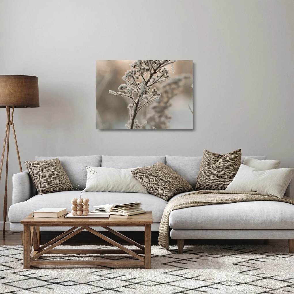 Obraz na szkle - Roślina w mrozie (70x50 cm)