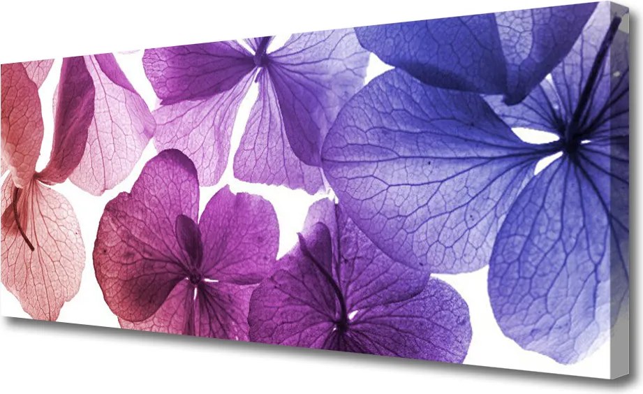 Zdjęcie na płótnie Letni Ogród Kwiatowy