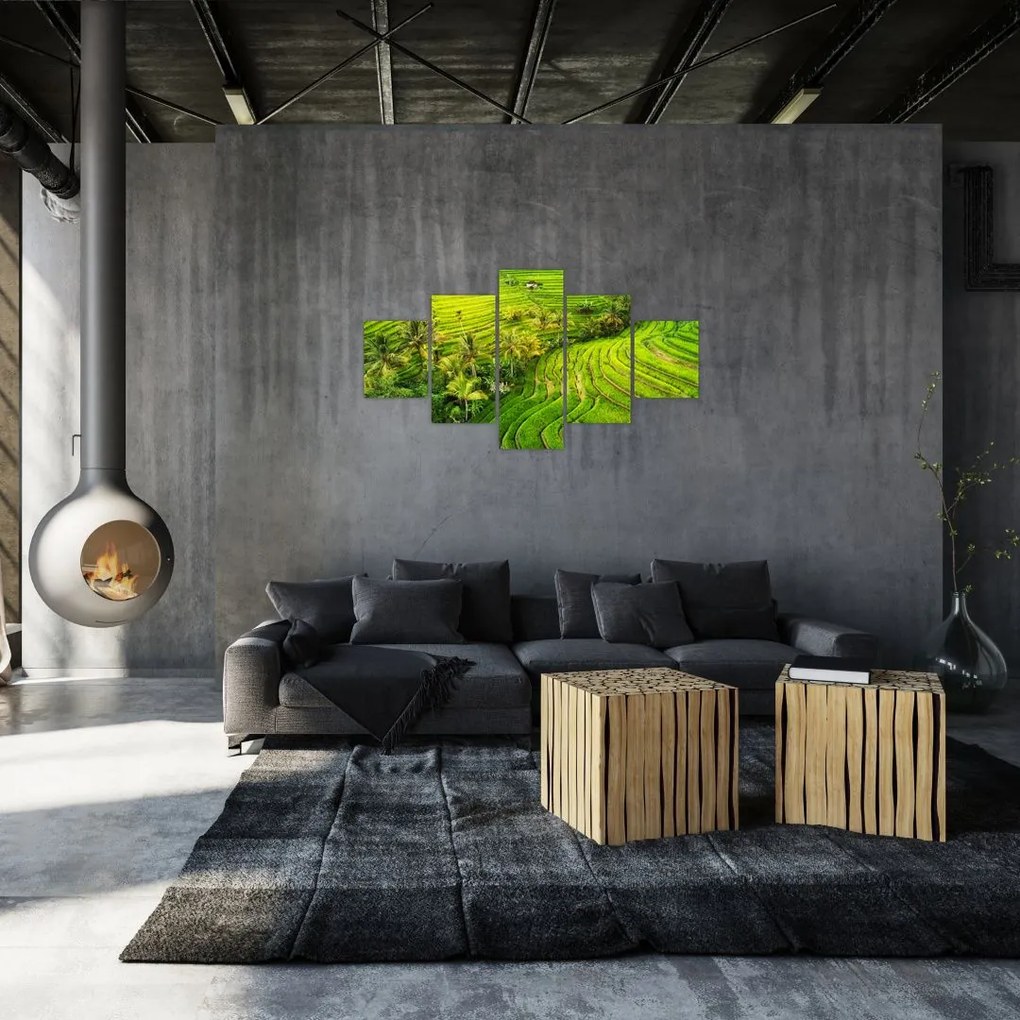 Obraz - Pola ryżowe (125x70 cm)