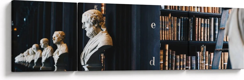 Obraz - W bibliotece (170x50 cm)