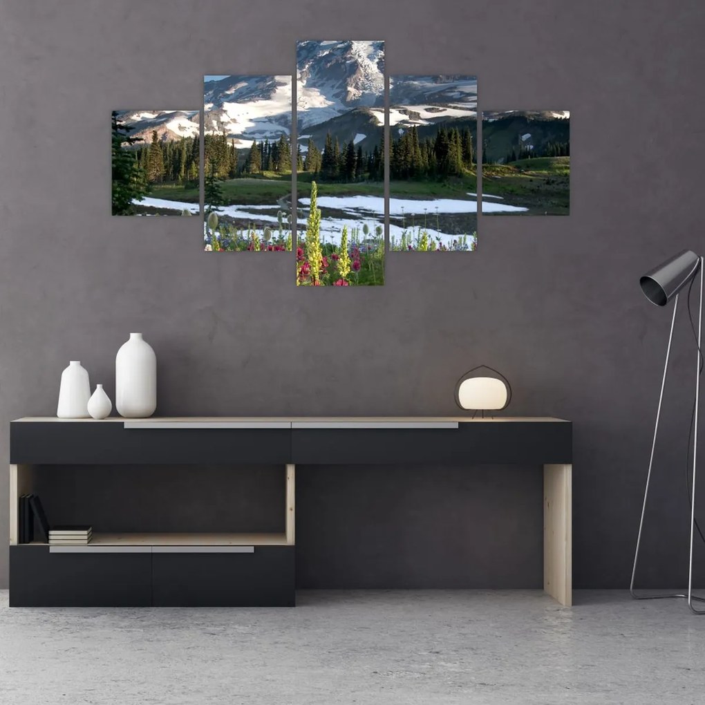 Obraz - Mount Rainier (125x70 cm)