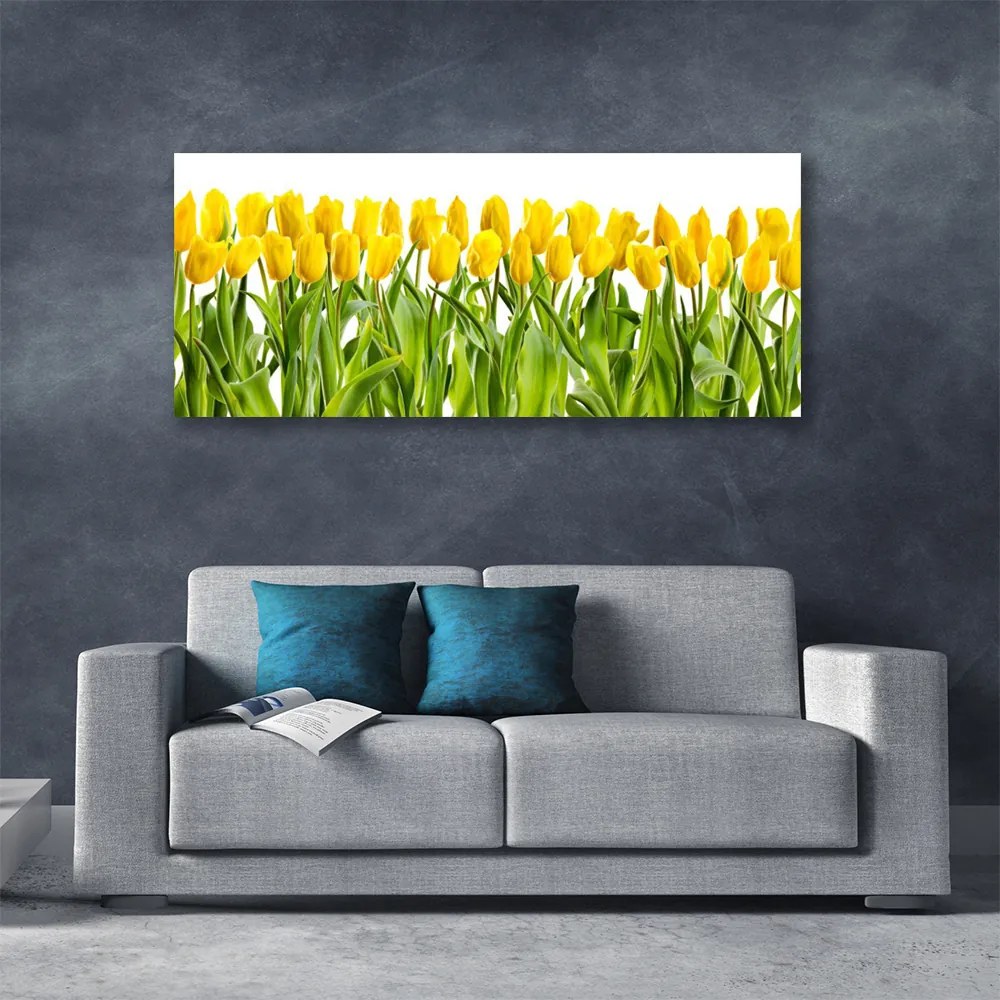 Obraz Canvas Tulipany Kwiaty Natura