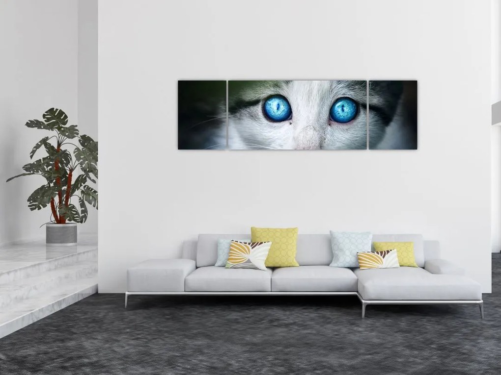 Obraz kota (170x50 cm)