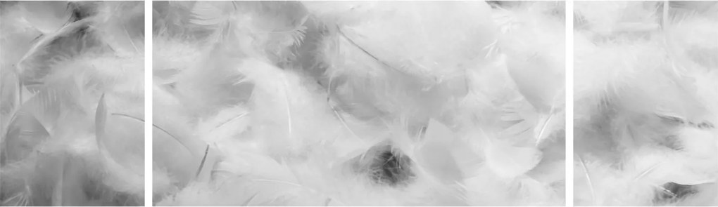 Obraz - Chmury piór (170x50 cm)
