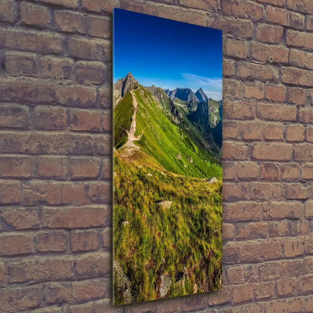 Fotoobraz szklany na ścianę do salonu Tatry