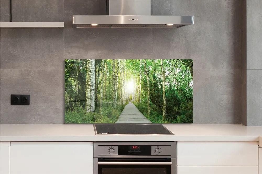 Szklany Panel Droga przez Las Brzozowy