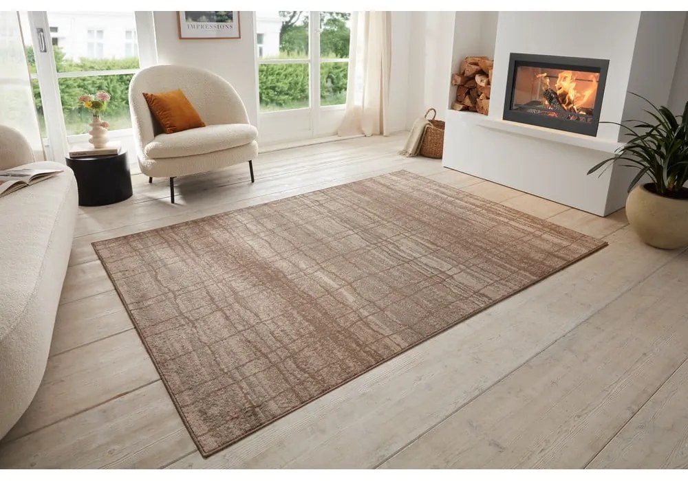 Brązowy/beżowy dywan 80x120 cm Terrain – Hanse Home