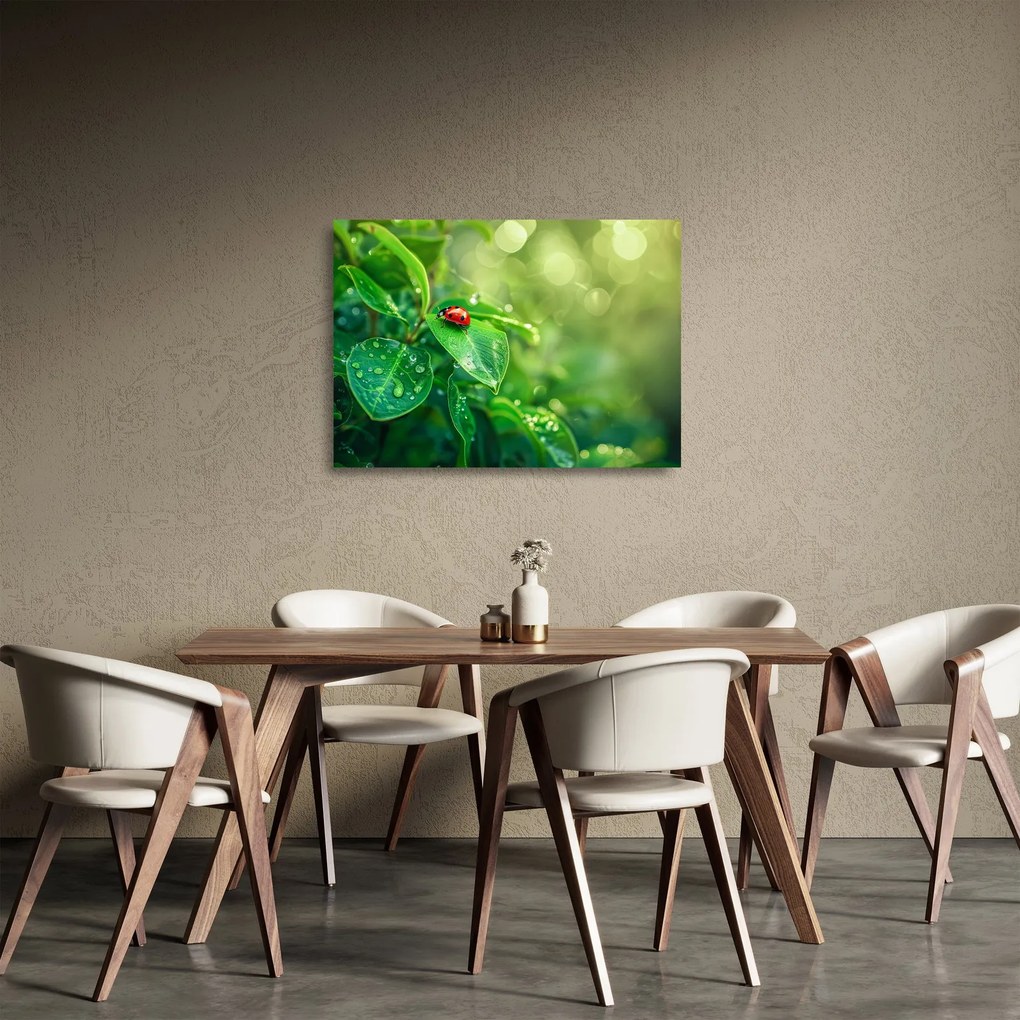Obraz na szkle - Biedronka (70x50 cm)