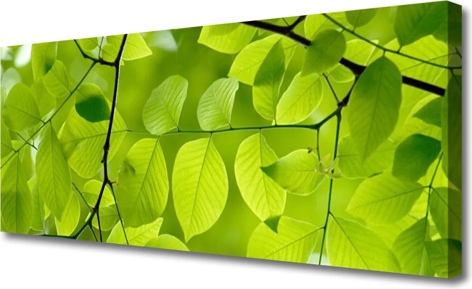 Zdjęcie na płótnie Botaniczny Detal Liści