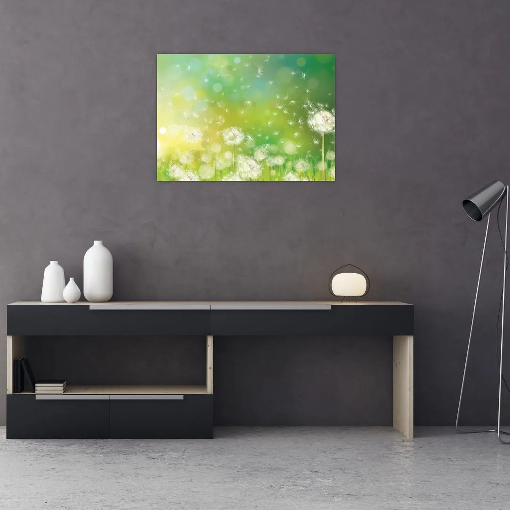 Obraz - Kwitnące mlecze (70x50 cm)