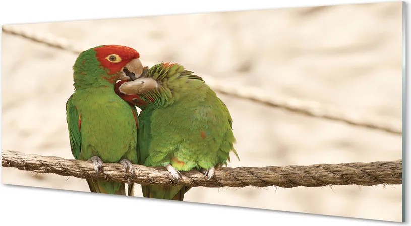 Panel szklany do Kuchni Stado Zielonych Papug