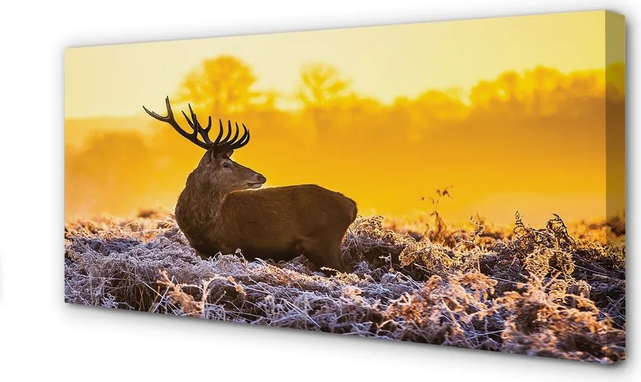 Duży obraz na płótnie Jeleń o Zimowym Wschodzie Słońca